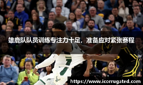 雄鹿队队员训练专注力十足，准备应对紧张赛程