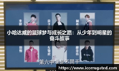 VSport官网
