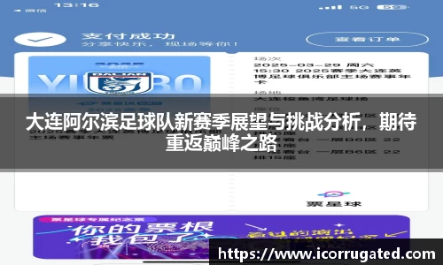大连阿尔滨足球队新赛季展望与挑战分析，期待重返巅峰之路