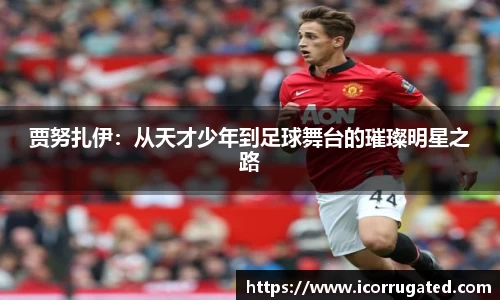贾努扎伊：从天才少年到足球舞台的璀璨明星之路